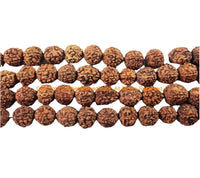 50 beads 10mm Natural Rudraksha Seed Beads - Nepal Tibetan Rudraksha Seed Prayer Mala Beads- Mala Making Supplies - LPB90Y-50